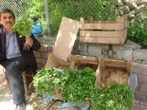 Kulp’ta Fideler Satışa Sunuldu