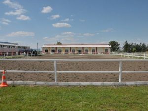 Atçılık, Binicilik Rehabilitasyon Tesisi Açıldı