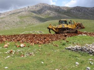 Ekinözü’nde Yayla Yollarına Bakım Çalışması Başladı