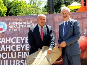 Fındıkta TEK Dal Sistemli Bahçelerin Yaygınlaşması İçin Çalışılıyor