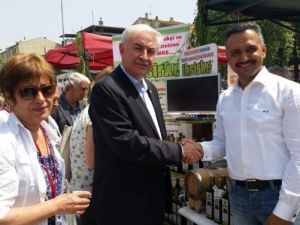 CHP Milletvekili Adayları Düzce Otları Festivalinde Stantları Gezdi