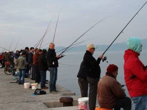 Fatsa’da Hobi Balıkçılarının Yüzü Gülüyor