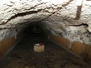 Baldöktü Hanı Günümüze Kazandırılacak