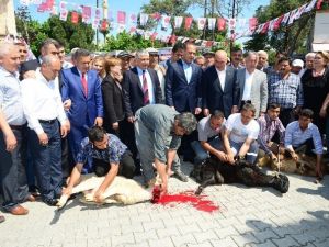 Karaisalı’da MHP Coşkusu