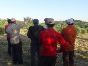 Suriye’ye Ait Hava Aracının Düşürülmesi, Hatay’ın Yayladağı İlçesinden Görüldü