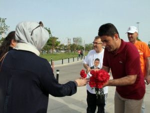 Ak Parti Adayı Boyraz, Maltepe Sahilinde Karanfil Dağıttı