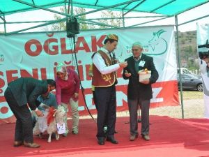 Kızılcahamam’da 1. Oğlak Şenliği Yapıldı