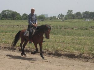 Rahvan Atları Kıyasıya Yarıştı