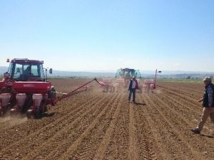 Tohumluk Mısır Ekimi Başladı