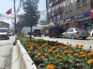 Hakkari Belediyesi’nden Yeşillendirme Çalışması