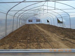 Hükümlüler Tarımla Uğraşacak