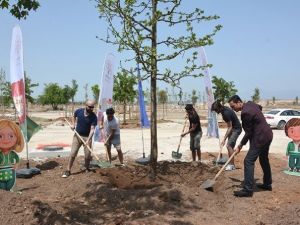 EXPO 2016’ya Bir Ağaç Da Kolpa’dan