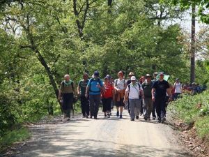 Ercova Yaylasında Yürüdüler