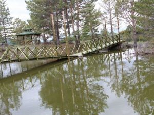 Oltu’da Bir Doğa Harikası; Kütüklü Göl