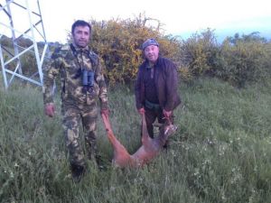 Çorum’da İlk Karaca Vuruldu