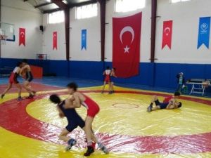 Develi’de Gençlik Haftası Coşkusu