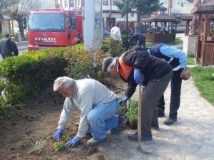 Küre’de Parklar Çiçek Açtı