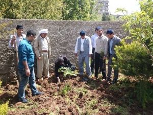 İdil TEMA Çalışmalarına Devam Ediyor