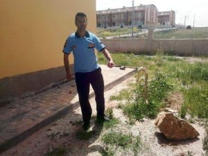 İtfaiyeden Yılan Operasyonu