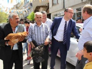 Gelin Arabasının Şoförü, Damattan Tavuk Ve Horoz İstedi