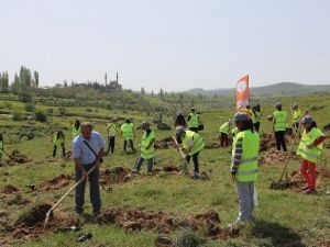 Talas’ta Bir Cana 10 Fidan Projesi