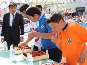 Sason’da 19 Mayıs Kutlamalarına Yerli Çilek Yarışması Eklendi