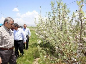 Büyükşehir’den Tarımsal Kalkınma Hamlesi