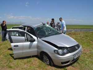 Eleşkirt’te Trafik Kazası: 6 Yaralı