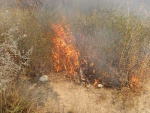 Anız Yangını Korkuttu