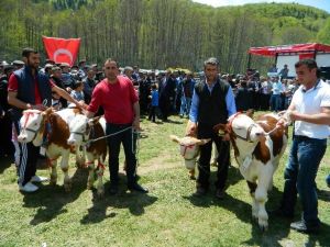 Posof’ta 19 Mayıs Coşkusu