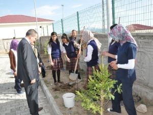 Patnos’ta Fidan Dikimi