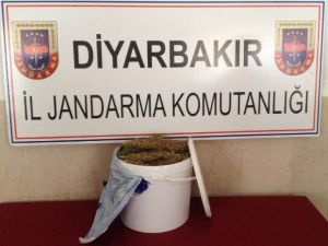 Diyarbakır’da 9 Kilogram Esrar Ele Geçirildi