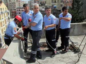 Adana’da Kedi Kurtarma Seferberliği