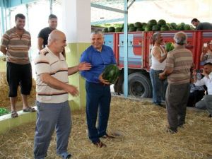 Yılmaz: "Karpuzda İthalat Darbesine Son Vereceğiz"