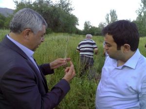 Bucak’ta Kültür Salebi Yetiştiriciliği Hayata Geçiyor