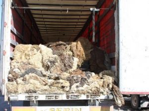 Kars’ta Sigara Kaçakçılarına Darbe!