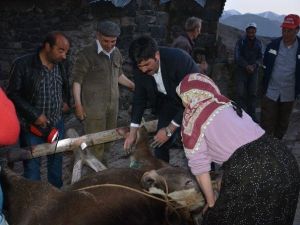 Seçim Çalışmasında İlk Müdahale