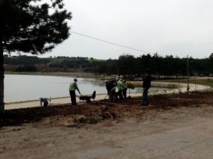Bilecik Belediyesi Pelitözü Gölpark’taki Çalışmalara Başladı