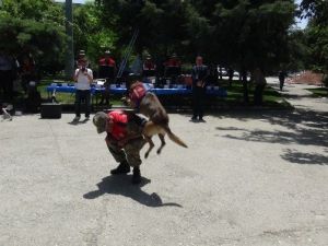 Jandarmanın Eğitimli Köpekleri Hiper Ve Çakır’ın Gösterileri İlgi Çekti
