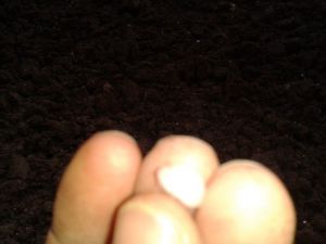 Çan’a Dolu Yağdı