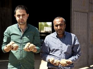 Patatesteki Fiyat Artışı