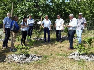 Yabancılar Örnek Fındık Bahçelerine Hayran Kaldılar