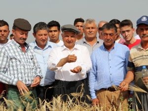 Yılmaz: "Çiftçimizi Tüccarın İnsafına Bırakmayacağız"