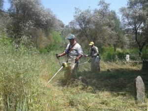 Köşk’te Mezarlıklar Bakıma Alındı