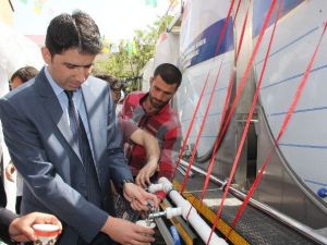 Bingöl’de 2 Bin Litre Süt Dağıtıldı