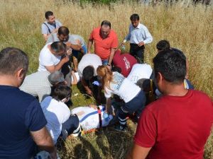 Muğla’da Trafik Kazası: 1 Ölü, 5 Yaralı