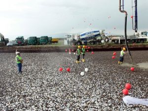 Bilim, Müze, Doğa, Tarih Ve Eğitim Park Projesi...