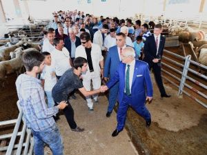 Tarsus’a Modern Canlı Hayvan Ticaret Merkezi