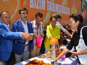 Tanıtım Çalışmaları İle Portakal Üretimi 60 Bin Tona Yükseldi