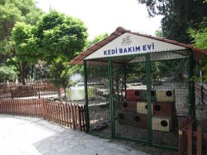 Hatay Büyükşehir Belediyesi’nden Sokak Hayvanlarına Yardım Eli